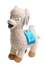Load image into Gallery viewer, Official Roscoe Plushie