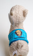 Load image into Gallery viewer, Official Roscoe Plushie